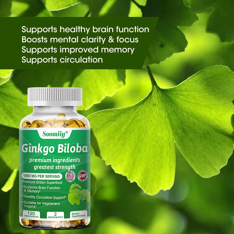 Ginko Biloba Capsules - Brain Supplement for Memory and Focus - Ginkgo Biloba Supplements for Good Vision